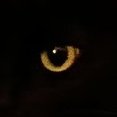 HellseaQ (@healtyq) Twitter profile photo