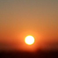 triplegoddess #NotMyGovernment (@hashish62) 's Twitter Profile Photo triplegoddess #NotMyGovernment (@hashish62) 's Twitter Profile Photo