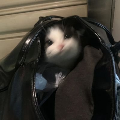 pingxie03051101's profile picture. 一年中的任何一天，都是唯一的。