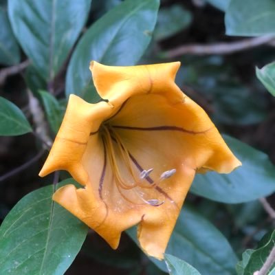 markshalom1's profile picture. 