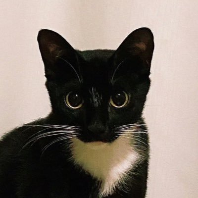 Utyisさんのプロフィール画像