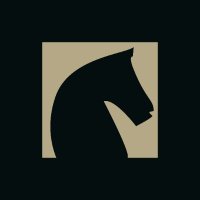 Strateji (@stratejiorg) Twitter profile photo