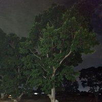 Taku (@murezione) 's Twitter Profile
