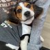 Ozzy Pawzborne (@ozzypawzborne) Twitter profile photo Ozzy Pawzborne (@ozzypawzborne) Twitter profile photo