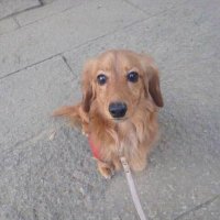 デビル子 (@eyualdwrrs86638) 's Twitter Profile Photo デビル子 (@eyualdwrrs86638) 's Twitter Profile Photo
