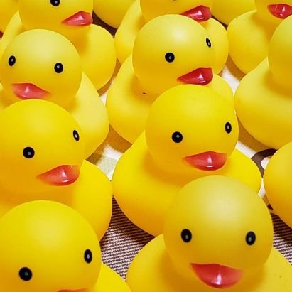 R8XVwh9txH32228's profile picture. 読書　勉強　原神　ポケGO