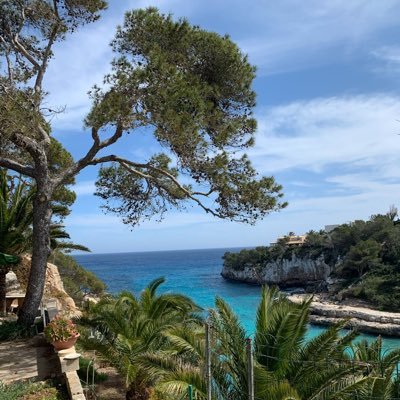 neeleida's profile picture. 