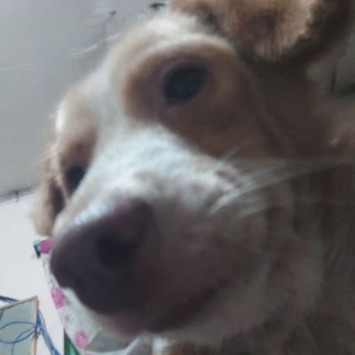 regさんのプロフィール画像