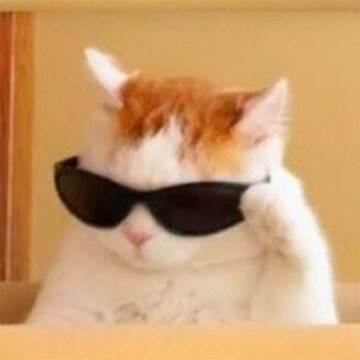Screw self improvement I say let's evolve into something biggeršŖš», something betterš«¶, something greaterāš» let's not chase dreams let's chase themselves š«µš»