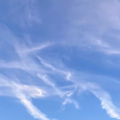 larapollack's profile picture. Professional dreamer and chaos witness