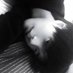 不信 (@lyt396720928154) Twitter profile photo 不信 (@lyt396720928154) Twitter profile photo