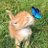 Joni13213's profile image