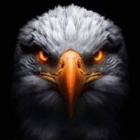 ⭕️TheEagle⭕️ (@___theeagle__) 's Twitter Profile Photo ⭕️TheEagle⭕️ (@___theeagle__) 's Twitter Profile Photo