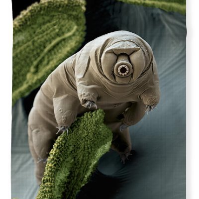 mrbill4real's profile picture. Alive and kikn