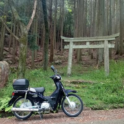 いつの間にかバイク垢(?)に。愛車のシグナスxとスーパーカブでぶらぶら。主に🏞田舎⛩️神社仏閣🏯城趾巡り。無言フォロー失礼しますと歓迎です!フォロバします💪よろしくお願いします😎