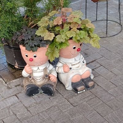 Kureiさんのプロフィール画像