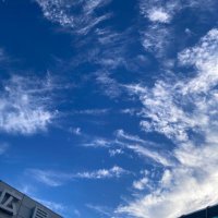 石原威 Takeru Ishihara (@mackey_mapo) 's Twitter Profile