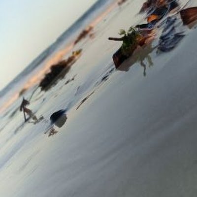 Walls_walker79's profile picture. 