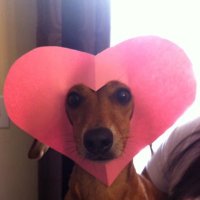 羲 (@axsuxu) 's Twitter Profile Photo