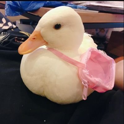 O7oW07r3n1pVHd5's profile picture. GIANTSの大ファン💕︎💕︎です。GIANTSファンと繋がれたら(仲良くなれたら)嬉しいです😊💞💐。よろしくお願いします(*^^*)｡それと、浅井グループ・座長・浅井海斗❤激推し✨❤️✨❤️✨❤️✨ですෆ˚*ฅ(///•ω•///)ฅ･ﾟﾟ♡海斗しか勝たん✨❤️✨❤️✨❤️✨ヾ( 〃∇〃)ﾂ ｷｬｰｰｰｯ♡