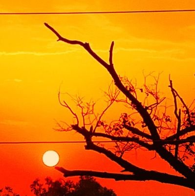 ReaderCave's profile picture. Today  a  Reader.....

Tomorrow  a  Leader