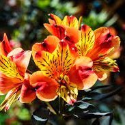 Insouillent's profile picture. Antiracisme, féminisme, droits LGBT, anticapitalisme
Arts 🎵📚🎥
🔬
⚽
Les cons et les fafs prière de débrancher vos claviers 😊😌