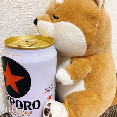 yuu_20_key's profile picture. 元々の趣味垢を野球小規模にしました🙌🏻 ロッテちゃん応援アカウント(東條さん、立松くん)基本的にお会いした事がある方か長く繋がってくれている方、個人的にポストが気になる方をフォローさせていただきます🙏  のんびりなので向こうの垢からお声かけ出来てない方ごめんなさい。こちらでよろしくお願いします🙇‍♂️