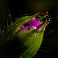 vule rock'nroll (@vule_rock_nroll) 's Twitter Profile