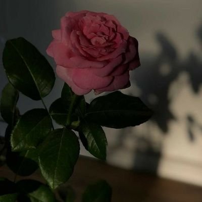 الحمدلله ♡