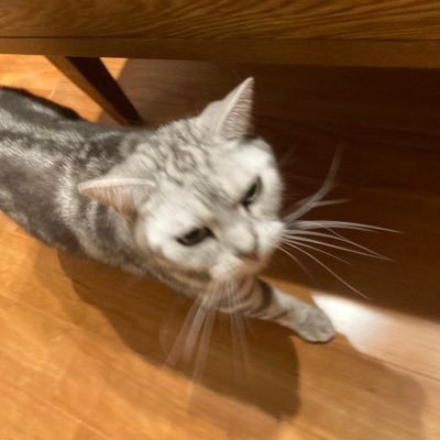 alujp68's profile picture. @Yuffie4u @gyen_ow    @flederFN