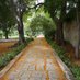Photography - Mihaela (@mihaelacaptures) Twitter profile photo Photography - Mihaela (@mihaelacaptures) Twitter profile photo