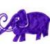 Purple Mastodon (@PurpleMastodon) Twitter profile photo