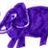 PurpleMastodon's profile image