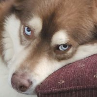 Jon (@big_kit44) 's Twitter Profile