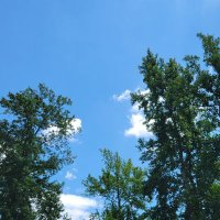 Pamela (@elanot) 's Twitter Profile