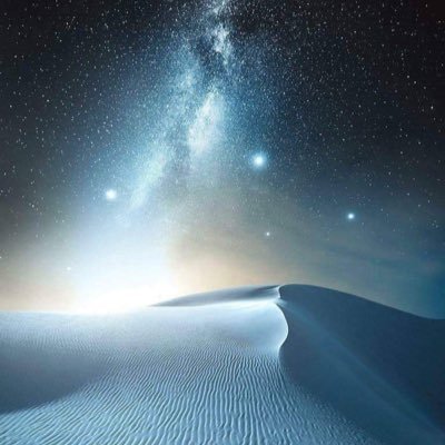 springydd's profile picture. sprin g