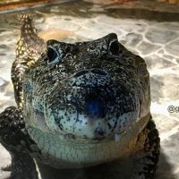 Miracle (@miracle2479) 's Twitter Profile