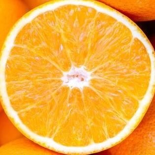 薄毛おじさん🍊さんのプロフィール画像