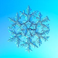 Jack Frost (@fjack3575) 's Twitter Profile