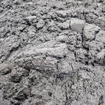 baracapybaras's profile picture. immaterial