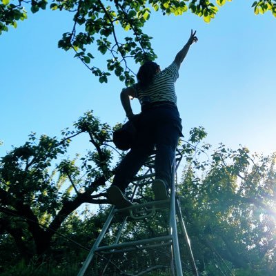 KASSHII1225's profile picture. INFP-T仲介者//岩手の二戸から青森の南部町へ！R4.3山ﾃﾞﾋﾞｭｰ🔰 R4.12.25に結婚、旦那と一緒に、さくらんぼと杏を作ってます（6~7月には通販有り）いきなりの絡みお許しを🙇‍♀️💦農業系の方、秋田犬好きな方仲良くしてね🔰R5ピーマン作り始動🫑息子2人👨‍👩‍👦‍👦愛犬ROY