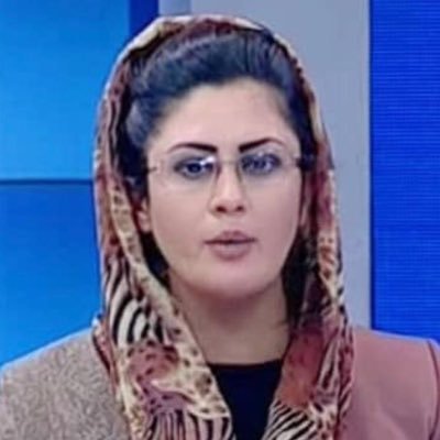 Afghanistan Womens And Children S.W.O Profile