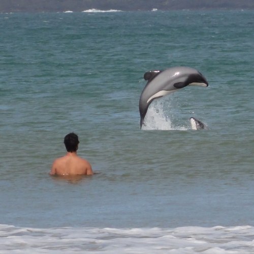 EKabillo's profile picture. 