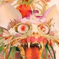 nekomata843's profile picture. 