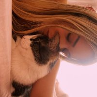S (@ssstehh) 's Twitter Profile