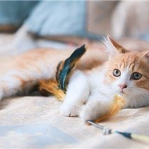 副業で安定した収入を得る方法を紹介中。副業を始めたい人に役立つ情報を発信。少額ですがプレゼント企画も実施しております♪ 詳細はコチラから▶https://t.co/DDvGY8XsCp