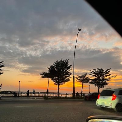 AcapelaSol's profile picture. 