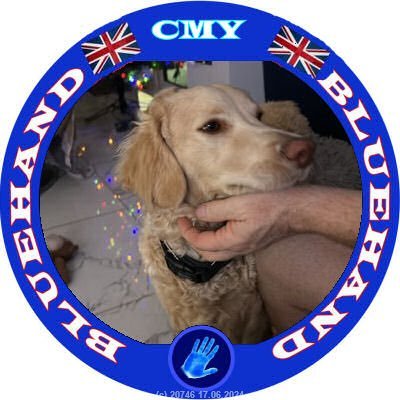 Happily married to an RAF veteran. No DMs. No lists. Dog & cricket lover.