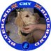 Melinda Y (@cmy1952) Twitter profile photo Melinda Y (@cmy1952) Twitter profile photo
