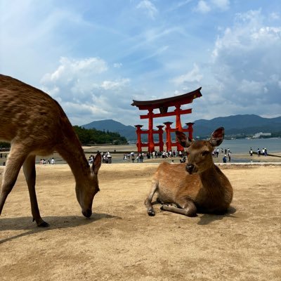 archeotw's profile picture. 首都圏建築学生 B1 #建築学生と繋がりたい